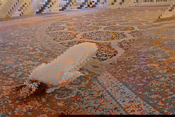 La Corte Costituzionale boccia la Lombardia: la legge anti moschea viola la Costituzione