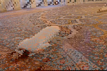 La Corte Costituzionale boccia la Lombardia: la legge anti moschea viola la Costituzione article-post