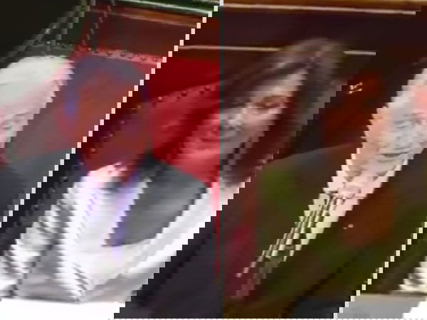 Trottolino amoroso sbarca in Senato: l’esibizione di Minghi manda i social in visibilio