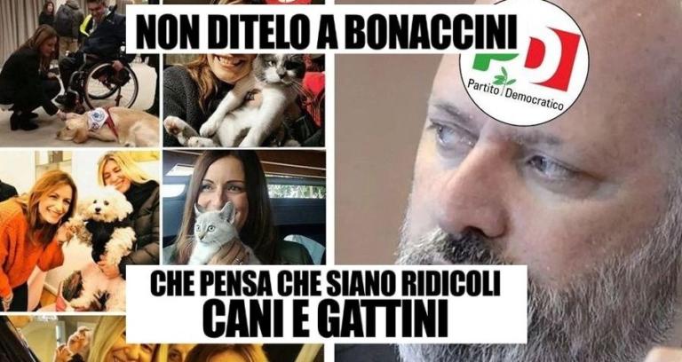 La campagna elettorale d Borgonzoni si conclude dicendo che Bonaccini odia cani e gatti