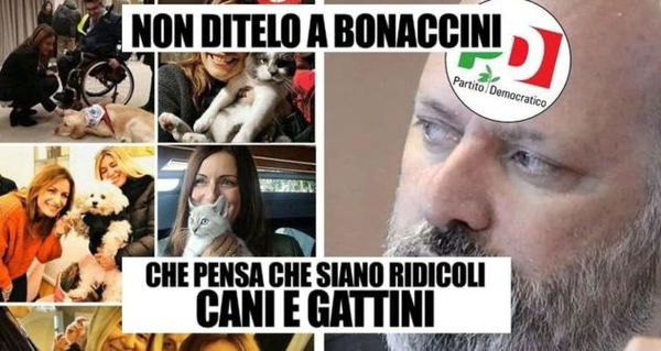 La campagna elettorale di Borgonzoni si conclude dicendo che Bonaccini odia cani e gatti