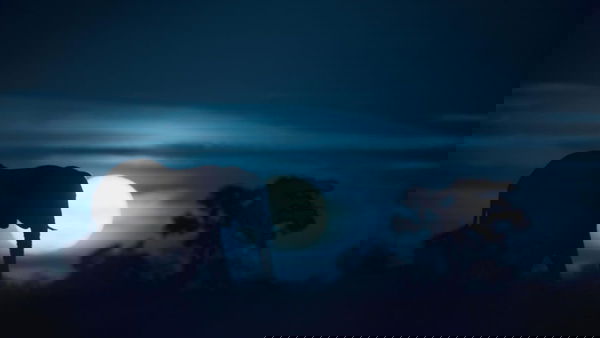 Notte sul pianeta terra, Netflix vi porta a scoprire la natura