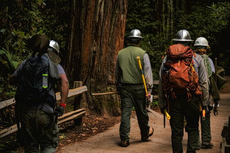 Reddito di Cittadinanza: ecco come cambierà nel 2020 article-post