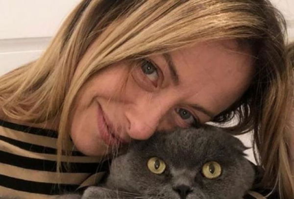 Giorgia Meloni: «Molti elettori del M5S stanno tornando nella loro casa, a destra»