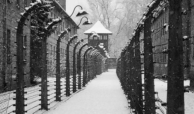 Il 15,6% degli italiani crede che la Shoah sia stata un’invenzione article-post