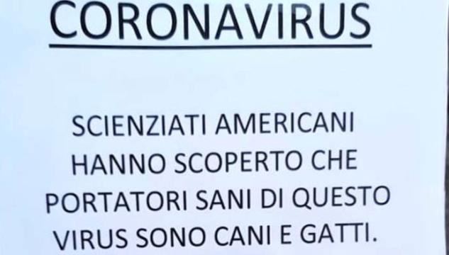 Cani gatti Coronavirus