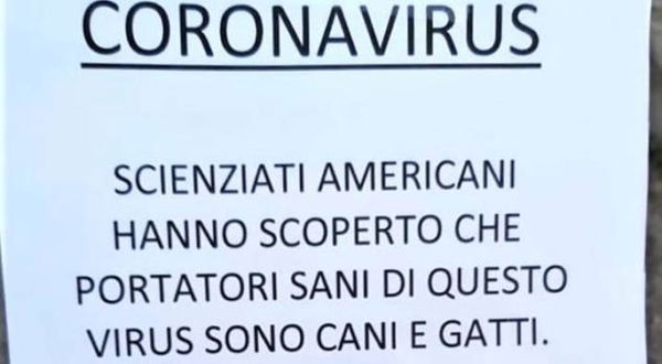 La bufala degli scienziati americani che hanno scoperto «cani e gatti» portatori sani del Coronavirus