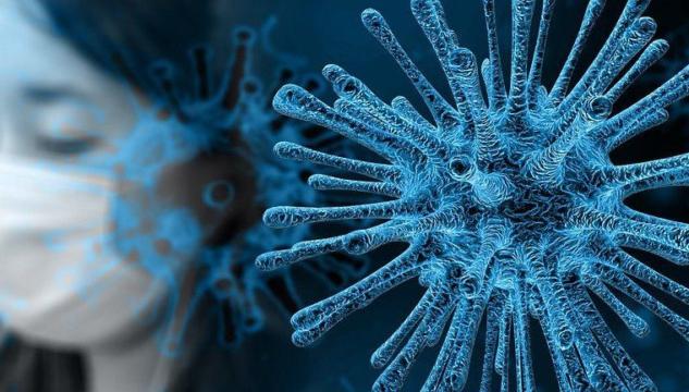 quando è iniziato il coronavirus