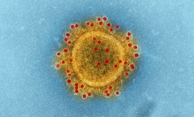 Coronavirus, c’è una quinta vittima in Italia del Lodigiano article-post