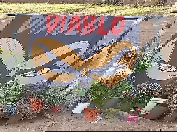 Dietro l’omicidio di Fabio Piscitelli ci sarebbe un credito da 50 milioni di euro