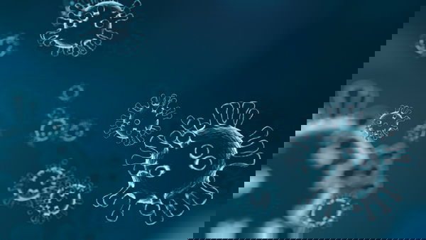 Coronavirus: è “caccia” ai passeggeri di una nave da crociera attraccata in Cambogia