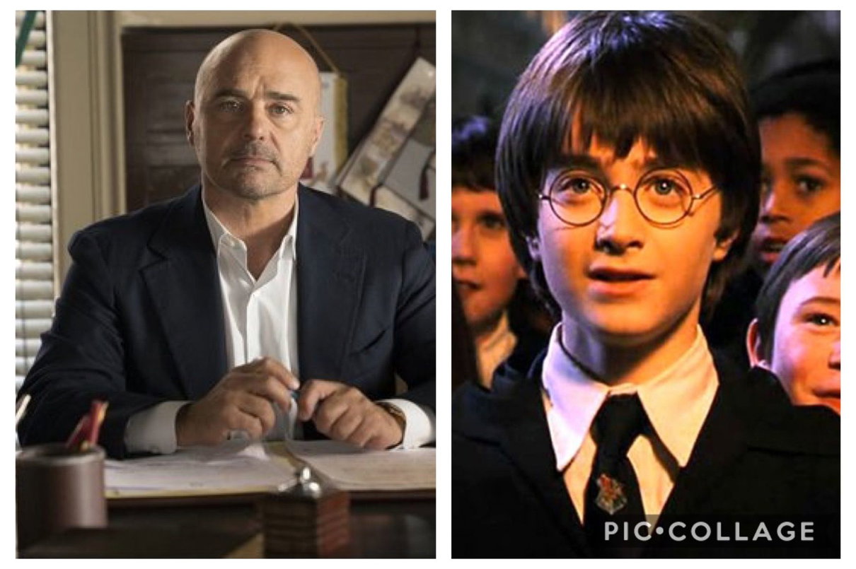 Ascolti tv 16 marzo, vola Montalbano ed exploit di Harry Potter su Italia 1 article-post