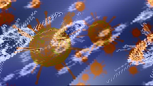 «Il coronavirus non è stato creato in laboratorio, ma si è originato da processi naturali»