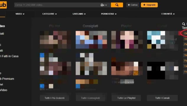 Giuseppe Conte Pornhub