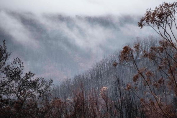 In Australia, non ci sono più incendi in New Wales per la prima volta dopo 240 giorni
