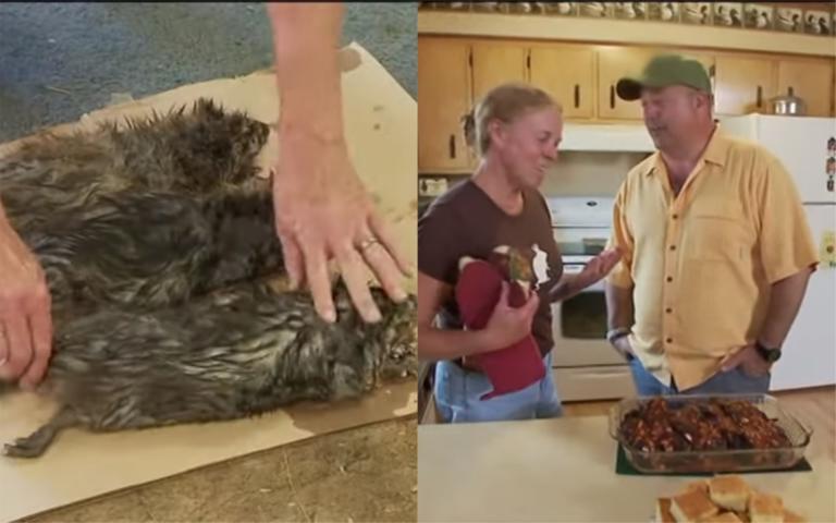 Si accusa la Cina per la propria ‘dieta’, ma anche negli Stati Uniti si mangiano topi | VIDEO