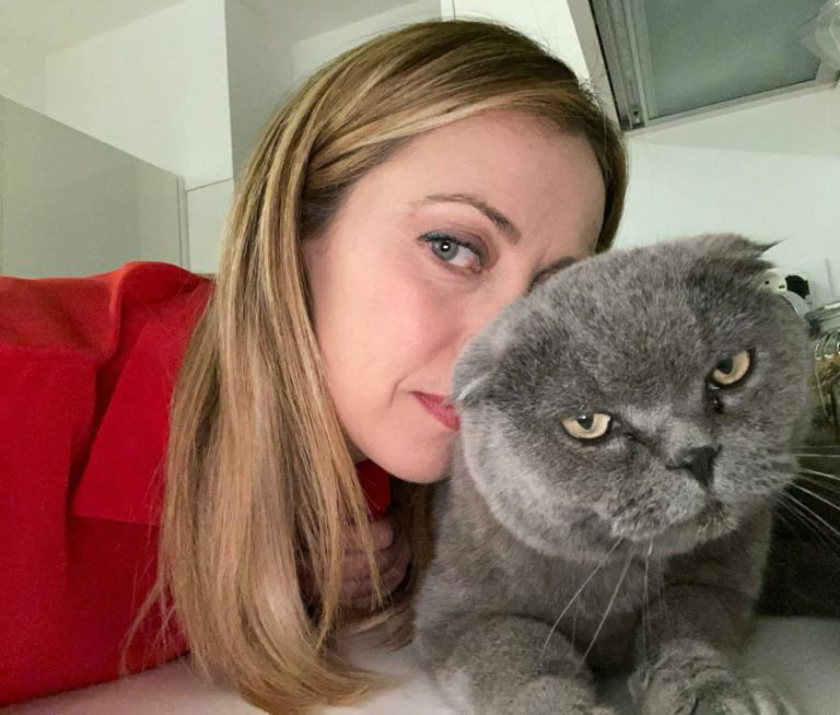 Giorgia Meloni non scarica Immuni perché «è il business più appetibile del mondo»