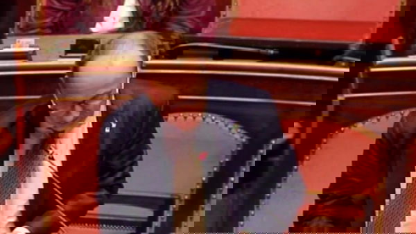 Bagnai della Lega dice che il Pd ha una «genetica votazione totalitaria» e che Conte ha fatto come Caligola