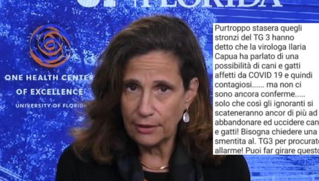 Cani e gatti contagiosi