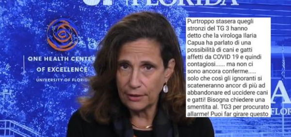 Ilaria Capua non ha mai detto che cani e gatti sono contagiosi