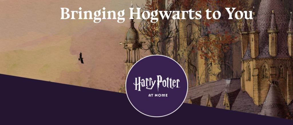 Harry Potter at home