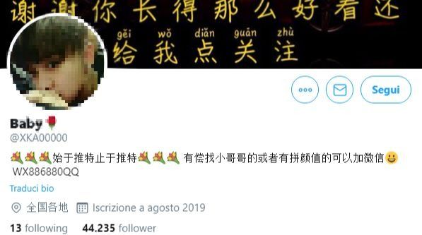 Rete Pedofili su Twitter