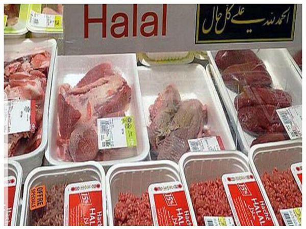 Economia halal in Italia, opportunità di grande crescita e professionalità