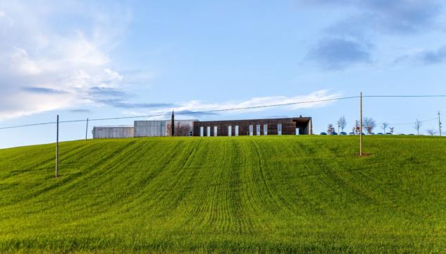 settore grano