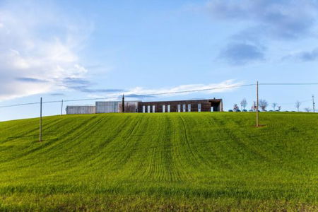 La guerra del grano all’orizzonte e i produttori 100% italiano che provano a resistere article-post