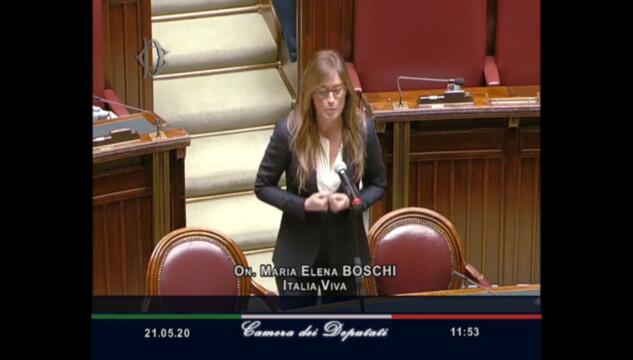 Boschi