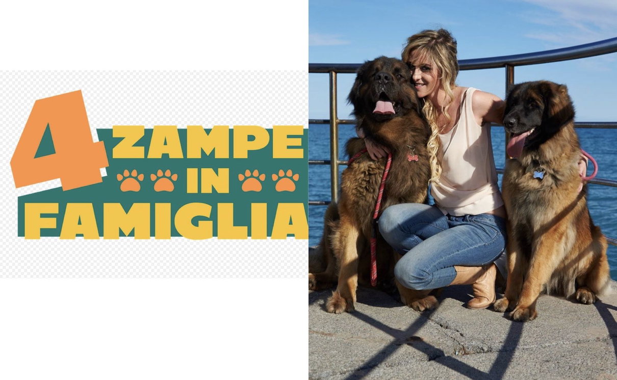 4 Zampe in famiglia, intervista alla conduttrice Elena Ballerini article-post