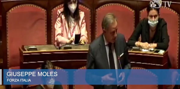 Giuseppe Moles (FI) e il paragone tra verginità (femminile) e credibilità parlando alla ministra Azzolina
