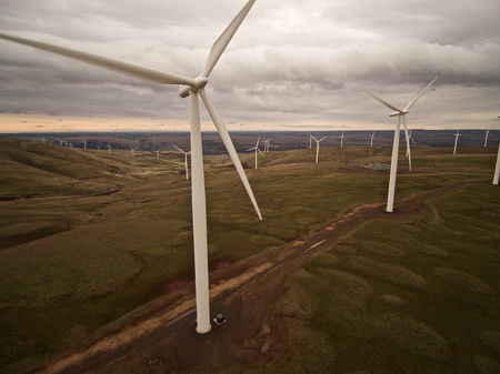 La crisi economica post Covid è l’opportunità per riconvertirsi alla green economy article-post