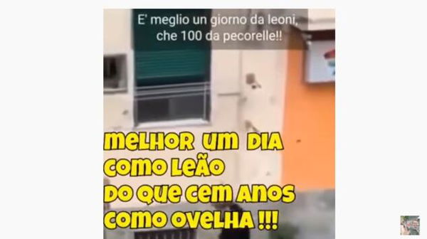 Bolsonaro pubblica un video con uno slogan di Mussolini: «Meglio vivere un giorno da leone che cento da pecora»