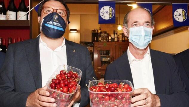 ciliegie di Salvini