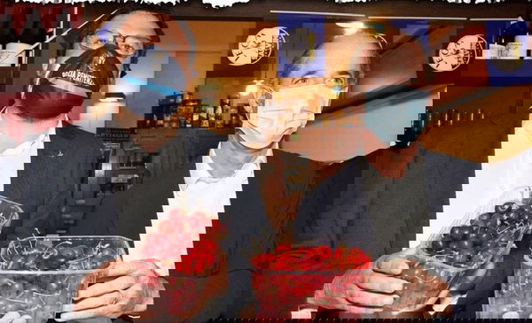 Salvini risponde alle critiche: «Alla faccia dei compagni, viva le ciliegie della nostra agricoltura»