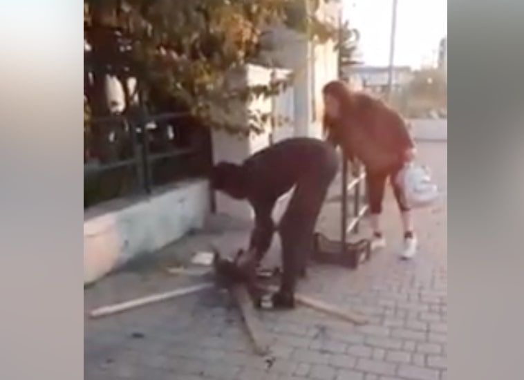 La storia del ragazzo che ha arrostito un gatto davanti alla stazione di Campiglia Marittima