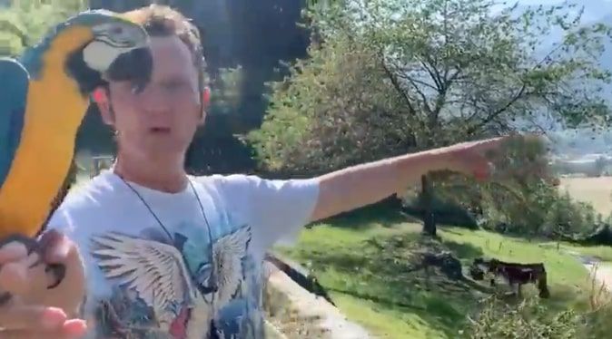 Il ragazzo che ha aggredito il pappagallo di Enzo Salvi ha affermato: «Mi ha spaventato»