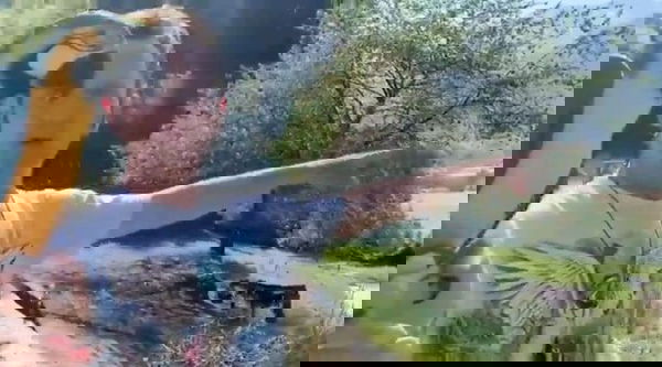 Il ragazzo che ha aggredito il pappagallo di Enzo Salvi ha affermato: «Mi ha spaventato»