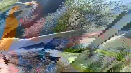 Il ragazzo che ha aggredito il pappagallo di Enzo Salvi ha affermato: «Mi ha spaventato» article-post