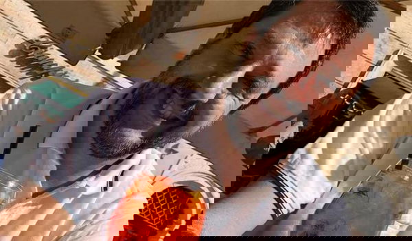 Quali impegni avrà domani pomeriggio Salvini che ha dichiarato che non può andare all’incontro con Conte?