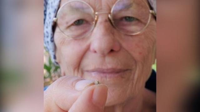 Emma Bonino pianta un seme di cannabis in terrazzo: «Io coltivo, e voi?»