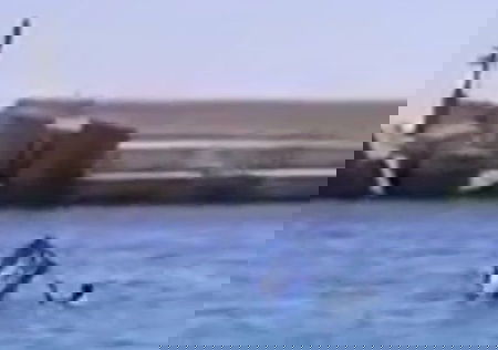 L’uomo che si butta in acqua con la bandiera «Prima gli italiani» per protestare contro gli sbarchi a Lampedusa article-post