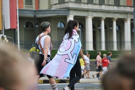 Perché è giusto che la polemica tra Arcilesbica e trans passi in secondo piano rispetto all’approvazione del DDL Zan article-post