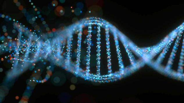 Un gruppo di scienziati potrebbe aver trovato un modo per rallentare l’invecchiamento article-post