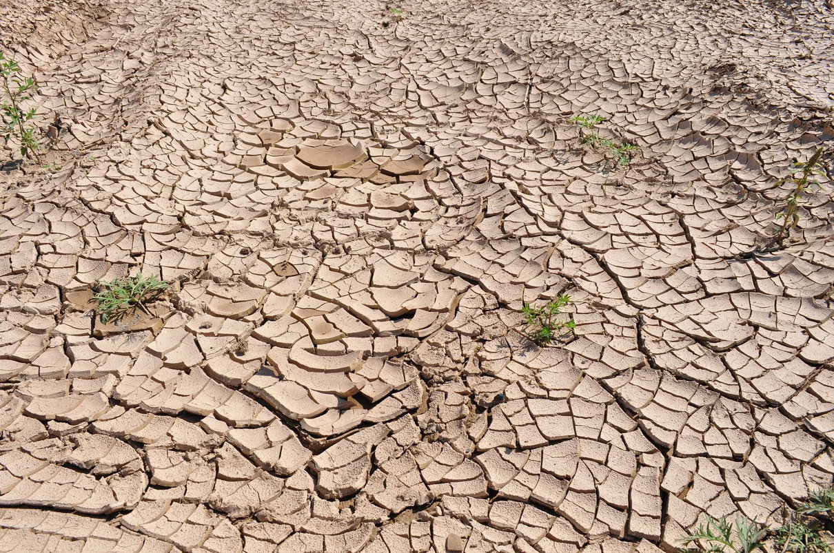 In Italia il riscaldamento globale è già un allarme, ma nessuno sembra accorgersene article-post