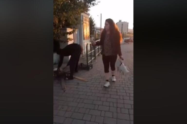 I dubbi della sindaca di Campiglia Marittima sul video del gatto arrostito: «Un’ora dopo la condivisione era sulle pagine della Lega»