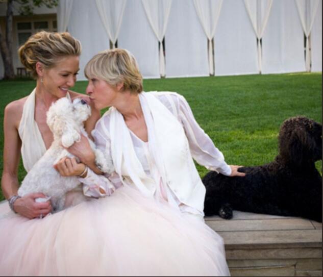 Bullismo e molestie, Portia De Rossi difende Ellen article-post