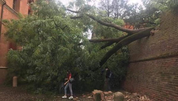 Chissa perché Salvini non ha pubblicato post indignati dopo i danni del nubifragio a Ferrara