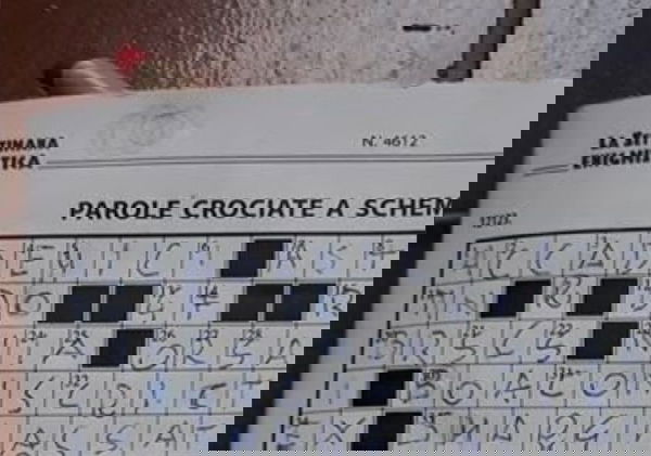 Hanno criticato la Settimana Enigmistica per aver detto che ‘accademici’ è sinonimo di ‘inconcludenti’